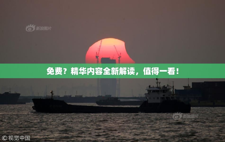 免费？精华内容全新解读，值得一看！