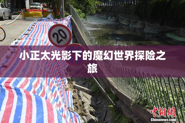 小正太光影下的魔幻世界探险之旅