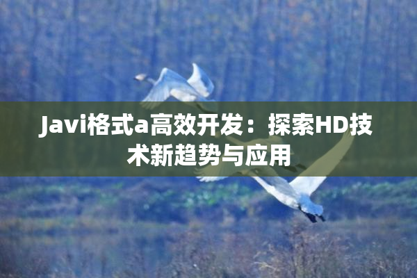 Javi格式a高效开发：探索HD技术新趋势与应用