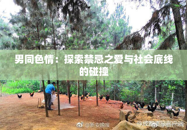 男同色情：探索禁忌之爱与社会底线的碰撞