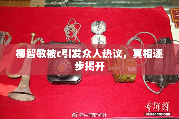柳智敏被c引发众人热议，真相逐步揭开