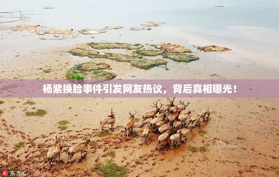 杨紫换脸事件引发网友热议，背后真相曝光！