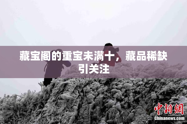藏宝阁的重宝未满十，藏品稀缺引关注