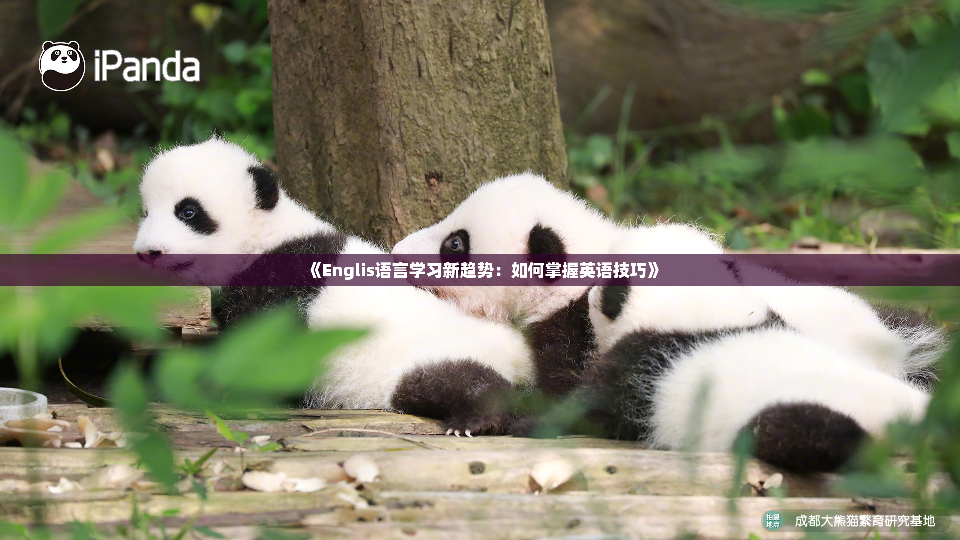 《Englis语言学习新趋势：如何掌握英语技巧》