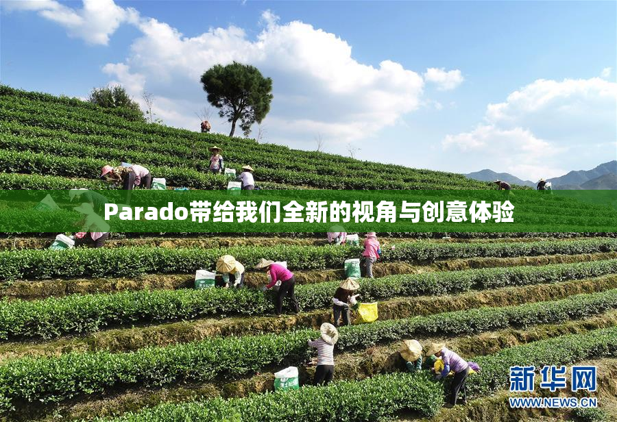 Parado带给我们全新的视角与创意体验