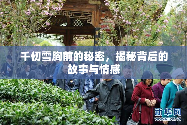 千仞雪胸前的秘密，揭秘背后的故事与情感