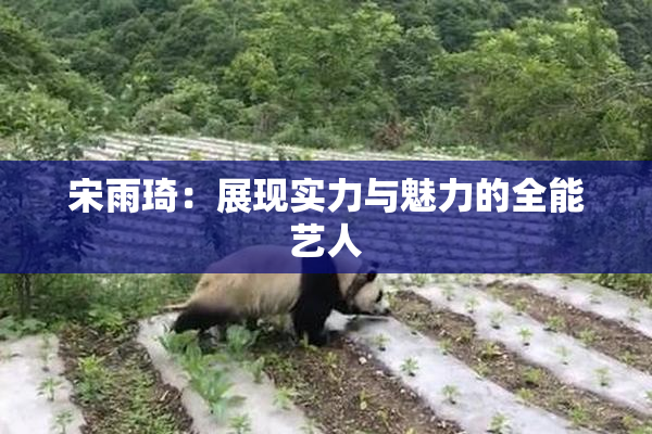宋雨琦：展现实力与魅力的全能艺人