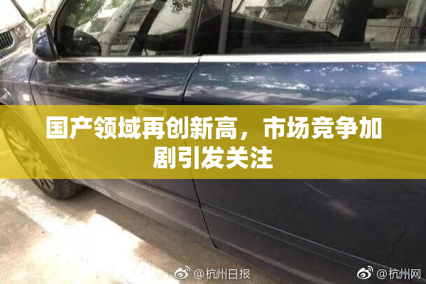 国产领域再创新高，市场竞争加剧引发关注