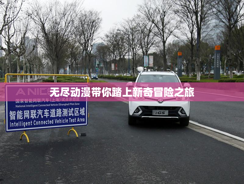 无尽动漫带你踏上新奇冒险之旅