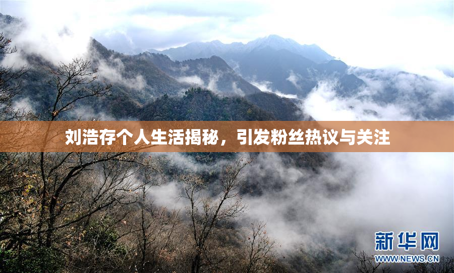 刘浩存个人生活揭秘，引发粉丝热议与关注