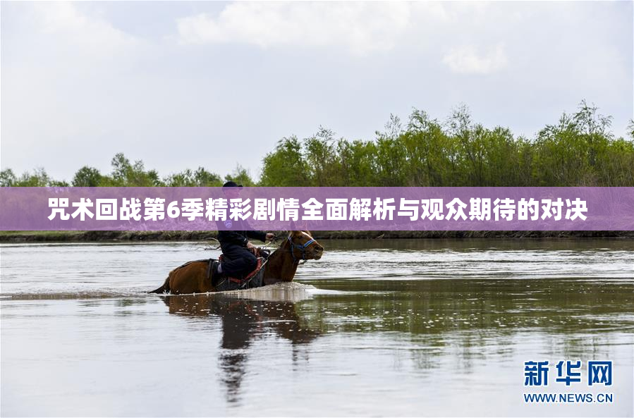 咒术回战第6季精彩剧情全面解析与观众期待的对决