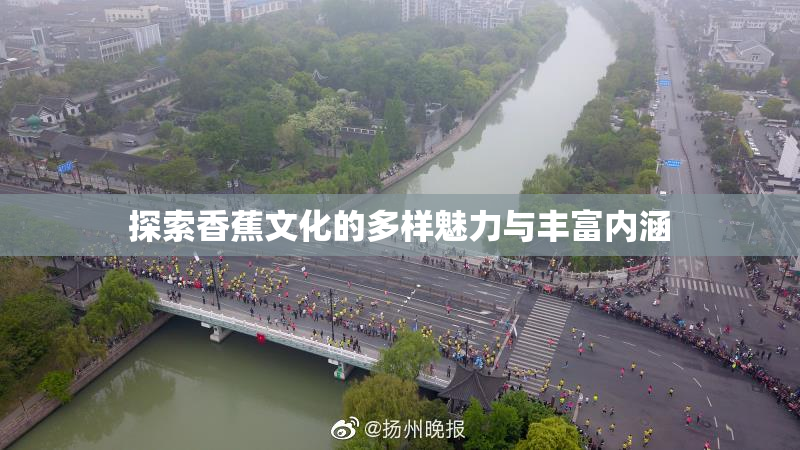 探索香蕉文化的多样魅力与丰富内涵