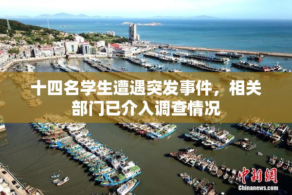 十四名学生遭遇突发事件，相关部门已介入调查情况