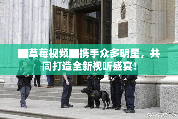 ▇草莓视频▇携手众多明星，共同打造全新视听盛宴！
