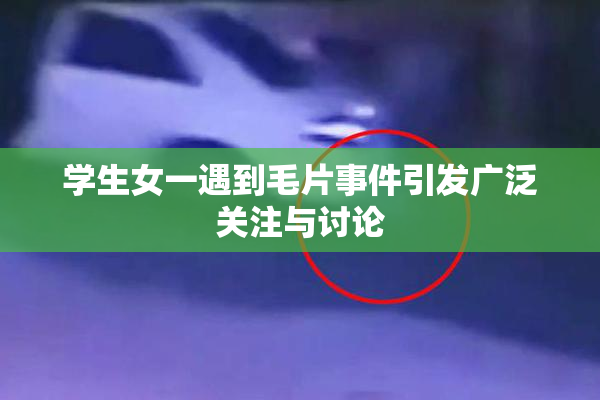学生女一遇到毛片事件引发广泛关注与讨论