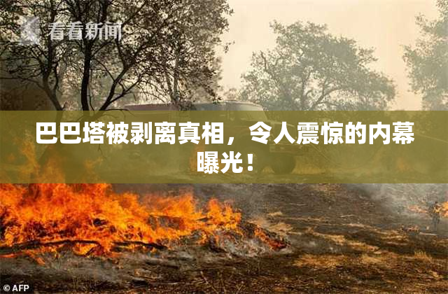 巴巴塔被剥离真相，令人震惊的内幕曝光！