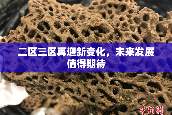 二区三区再迎新变化，未来发展值得期待