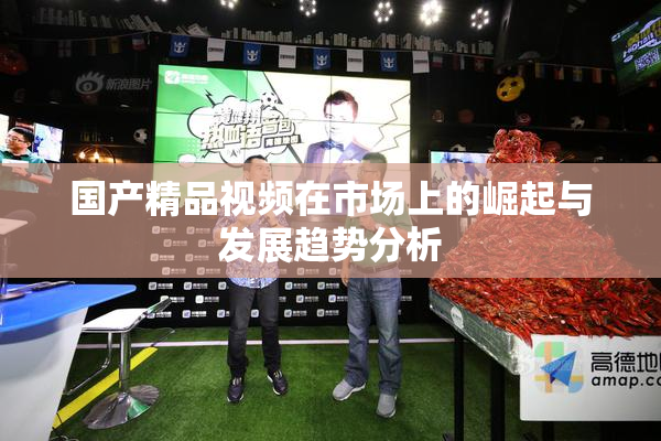 国产精品视频在市场上的崛起与发展趋势分析