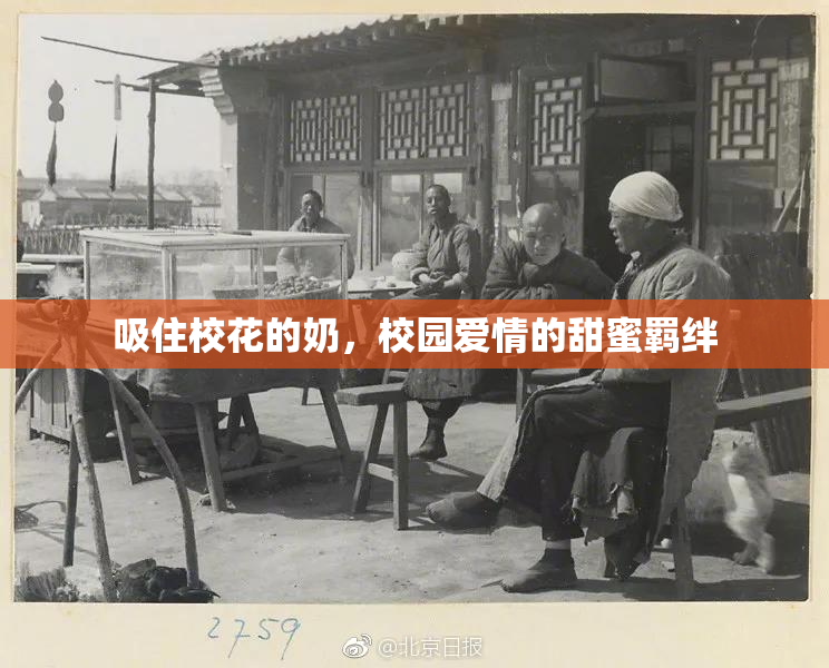 吸住校花的奶，校园爱情的甜蜜羁绊