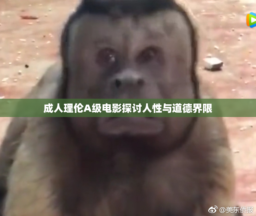成人理伦A级电影探讨人性与道德界限
