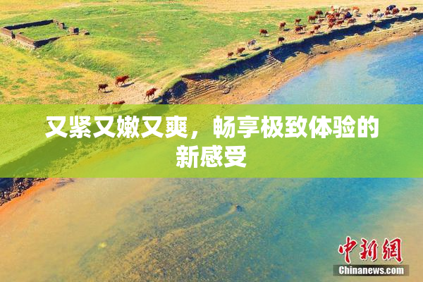 又紧又嫩又爽，畅享极致体验的新感受
