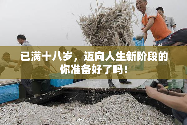 已满十八岁，迈向人生新阶段的你准备好了吗！