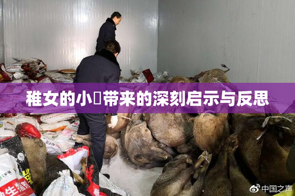 稚女的小泬带来的深刻启示与反思