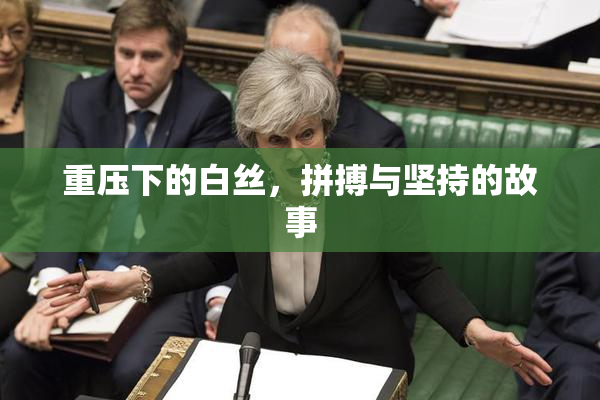 重压下的白丝，拼搏与坚持的故事