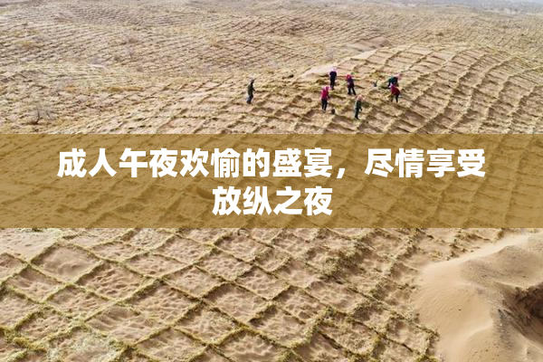 成人午夜欢愉的盛宴，尽情享受放纵之夜