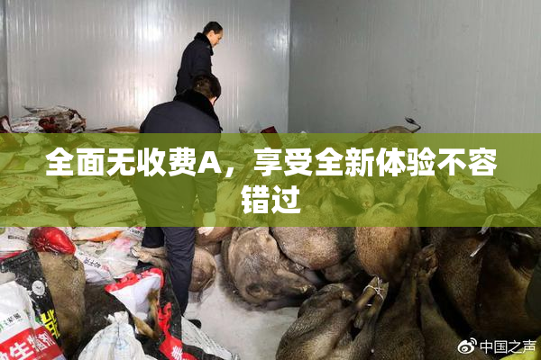 全面无收费A，享受全新体验不容错过