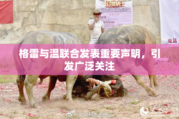 格雷与温联合发表重要声明，引发广泛关注