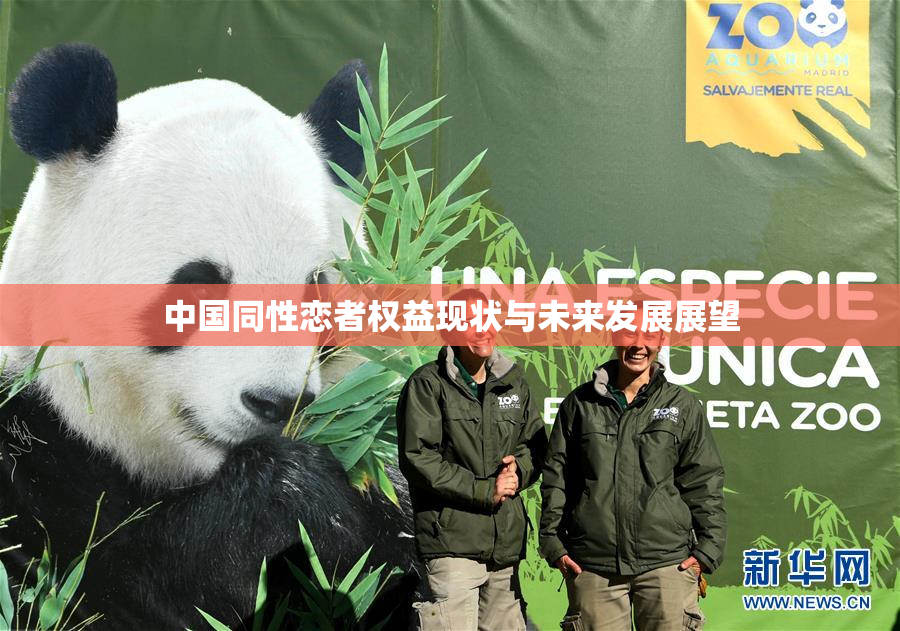中国同性恋者权益现状与未来发展展望