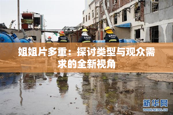 姐姐片多重：探讨类型与观众需求的全新视角