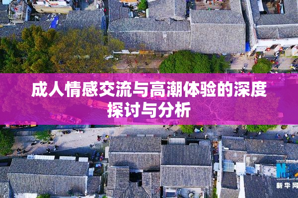 成人情感交流与高潮体验的深度探讨与分析