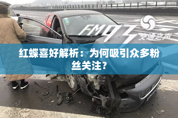 红蝶喜好解析：为何吸引众多粉丝关注？