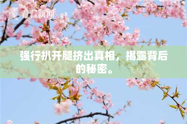 强行扒开腿挤出真相，揭露背后的秘密。