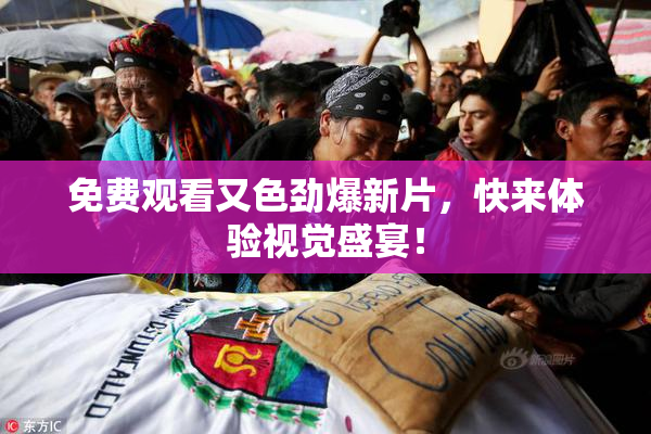 免费观看又色劲爆新片，快来体验视觉盛宴！