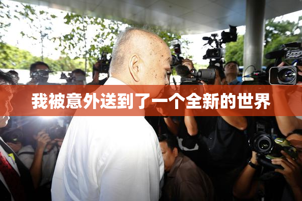 我被意外送到了一个全新的世界
