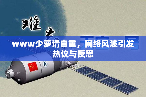 www少萝请自重，网络风波引发热议与反思