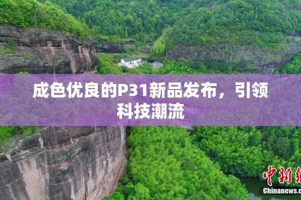 成色优良的P31新品发布，引领科技潮流