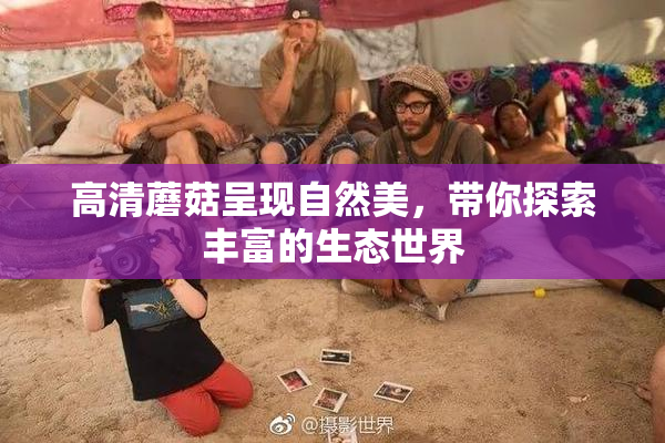 高清蘑菇呈现自然美，带你探索丰富的生态世界