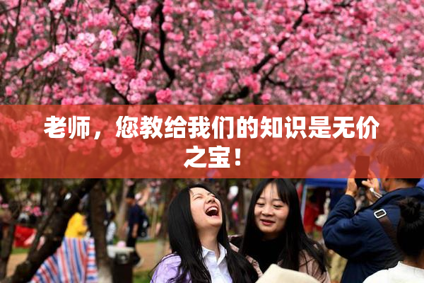 老师，您教给我们的知识是无价之宝！
