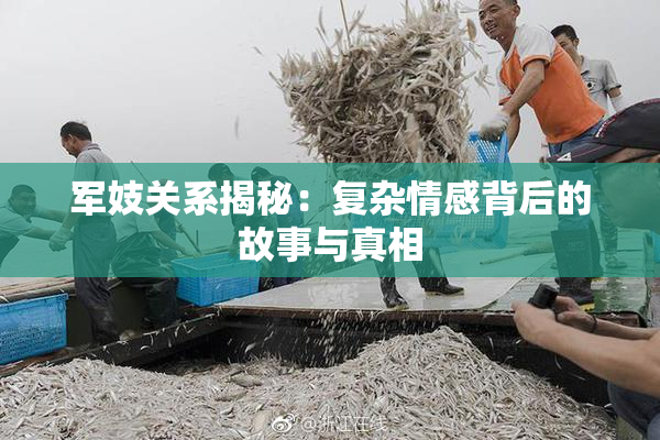军妓关系揭秘：复杂情感背后的故事与真相