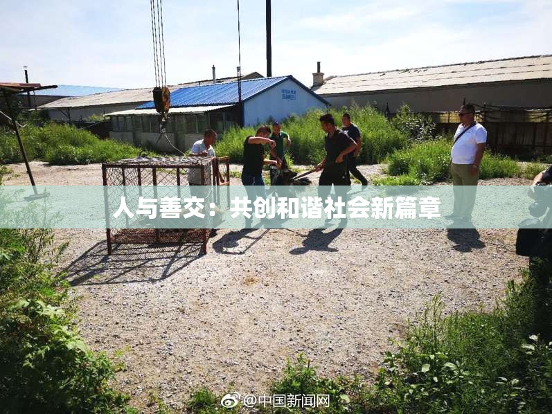 人与善交：共创和谐社会新篇章