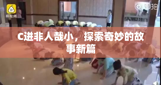 C进非人哉小，探索奇妙的故事新篇