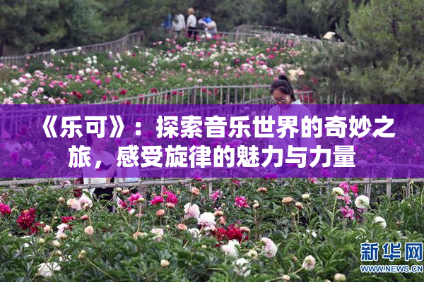 《乐可》：探索音乐世界的奇妙之旅，感受旋律的魅力与力量