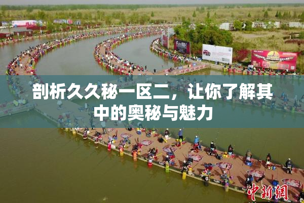剖析久久秘一区二，让你了解其中的奥秘与魅力