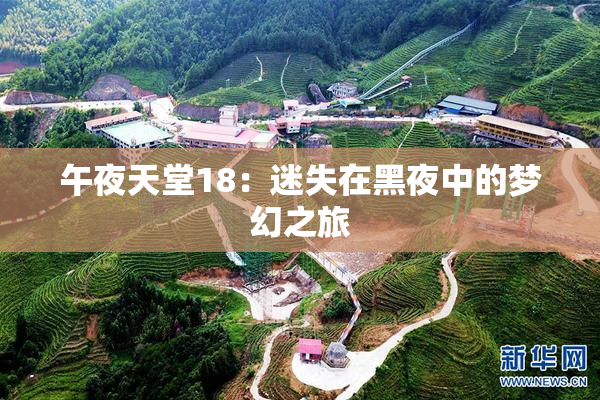 午夜天堂18：迷失在黑夜中的梦幻之旅