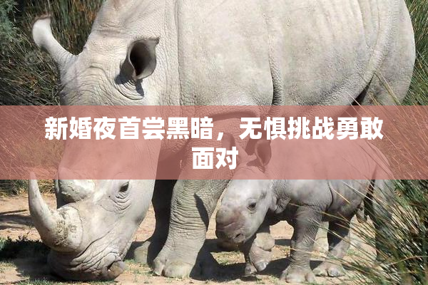 新婚夜首尝黑暗，无惧挑战勇敢面对