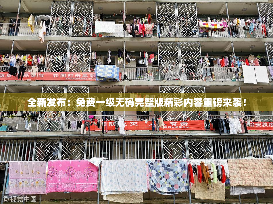 全新发布：免费一级无码完整版精彩内容重磅来袭！